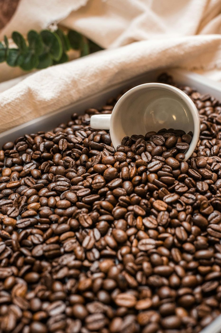 Café en grano Makkeroni